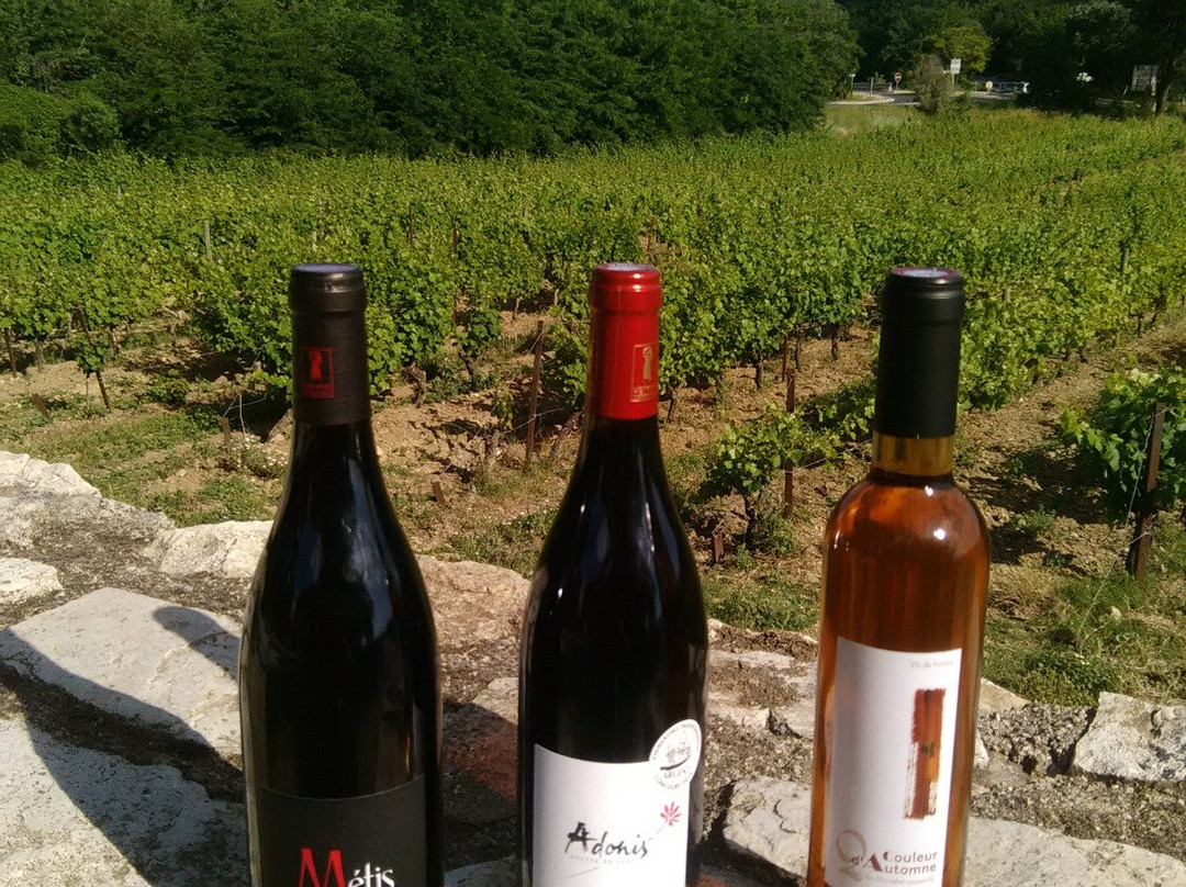 Domaine Maspiquet-Grabels必去景点