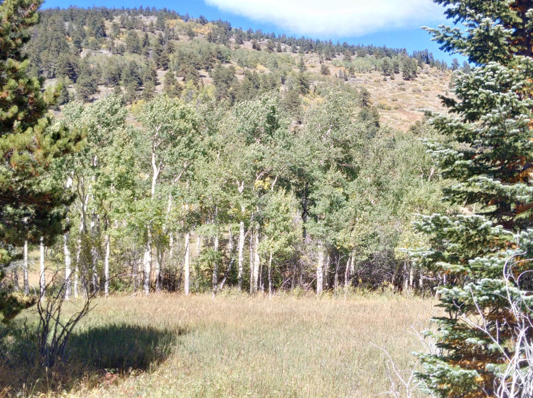 Caribou Ranch Open Space-Nederland必去景点