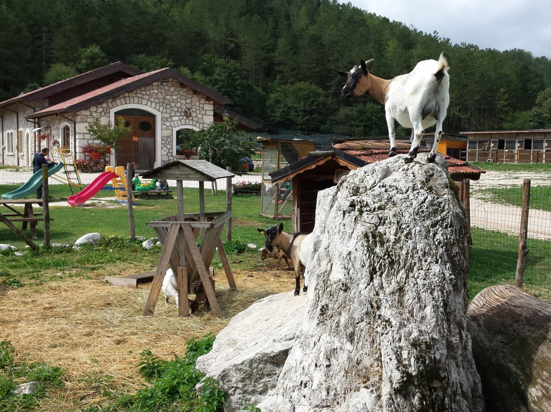 La Fattoria degli Animali景点图片