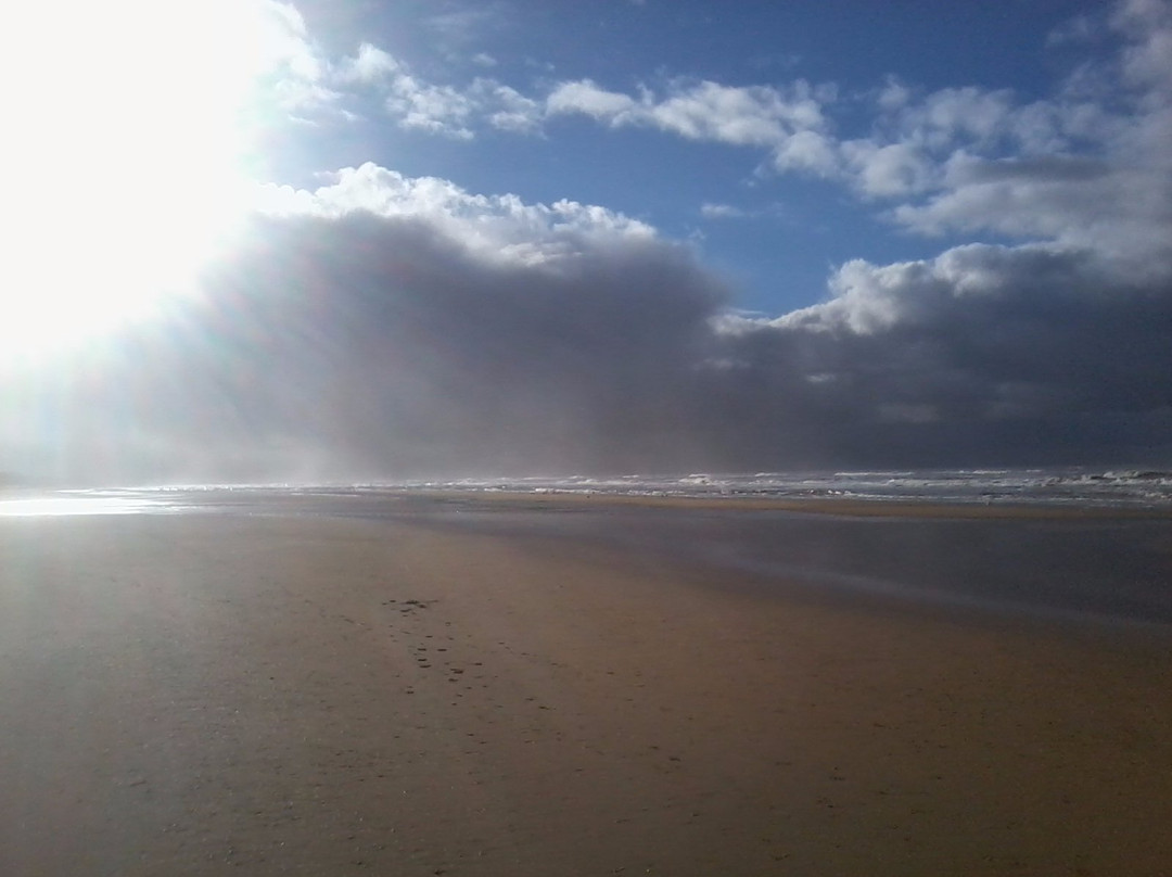 Strand Heemskerk景点图片