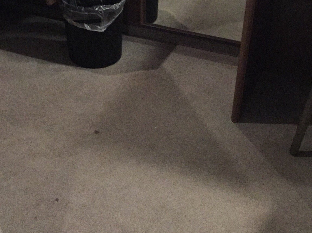 卡拉斯基酒店主图