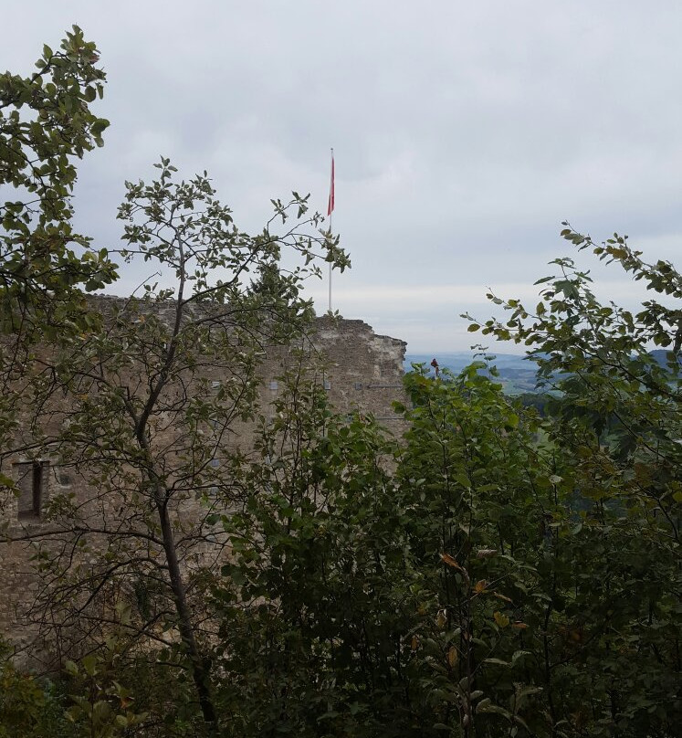 Ruine Farnsburg-Ormalingen必去景点