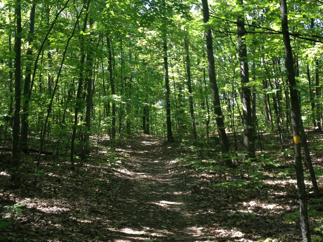 Ardagh Bluffs-巴利必去景点