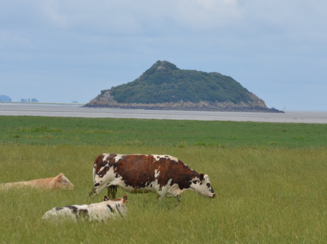 Beach of Genêts景点图片