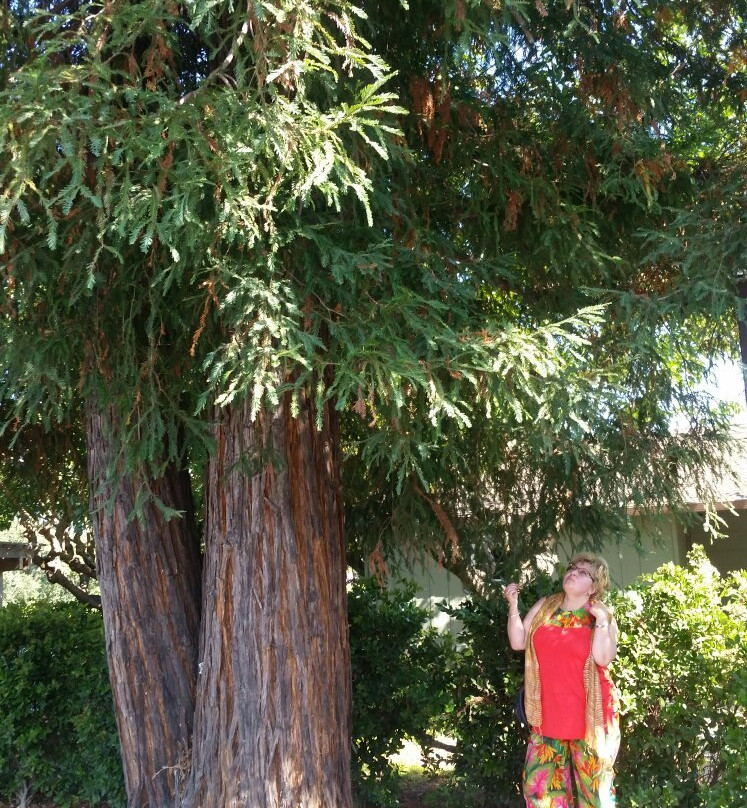 Red Morton Community Park-雷德伍德城必去景点