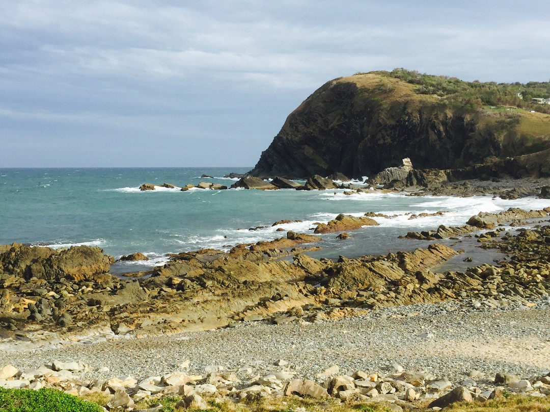 Kempsey旅游攻略图片