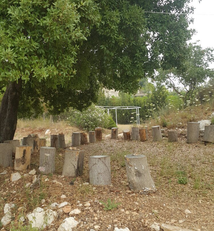 Modern and Contemporary Art Museum-朱拜勒必去景点