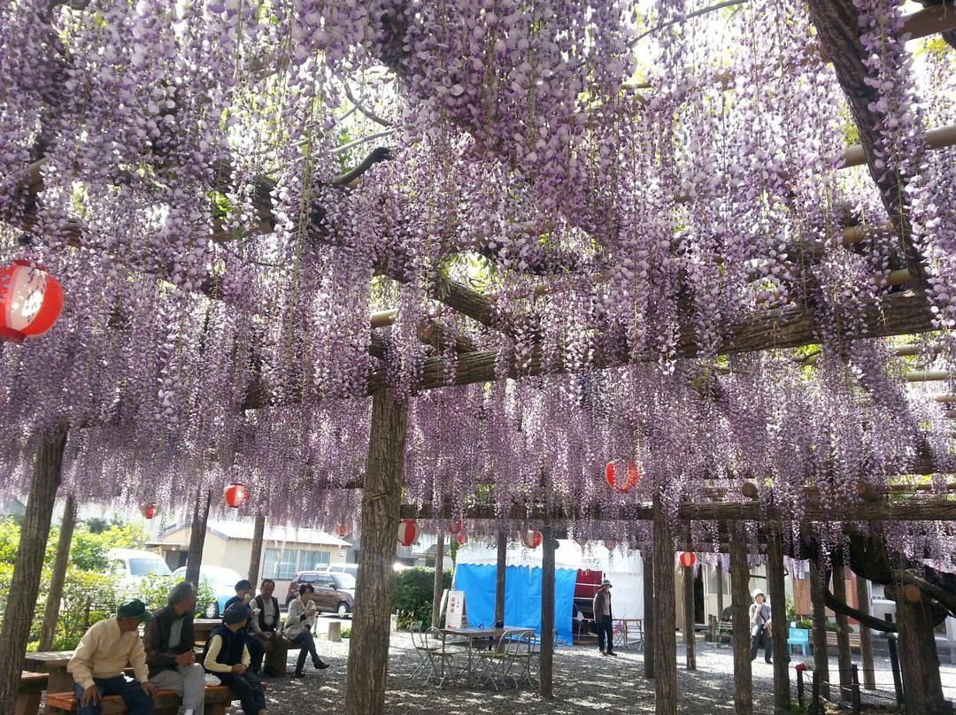 Tokoji Temple景点图片