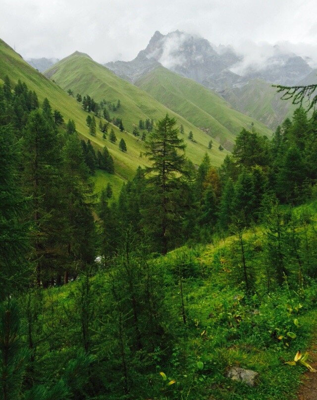 National Park Centre-Zernez必去景点