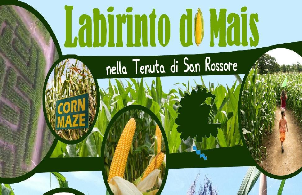 Coltano旅游景点-Labirinto di mais di San Rossore