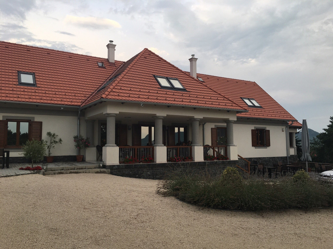 Villa Tolnay Vendeghaz主图