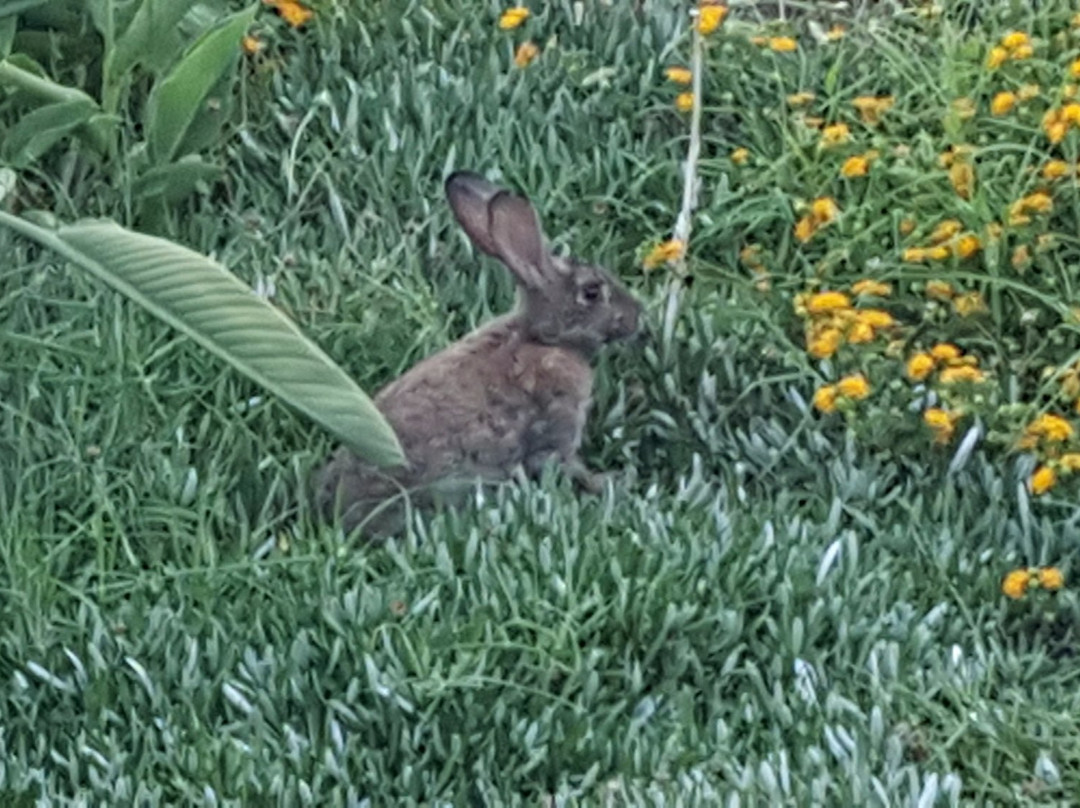 Nefi Guesthouse主图