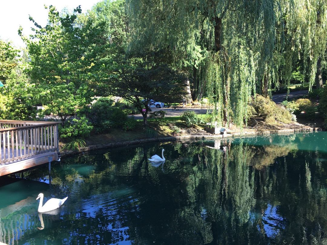 Lakeside Gardens-波特兰必去景点