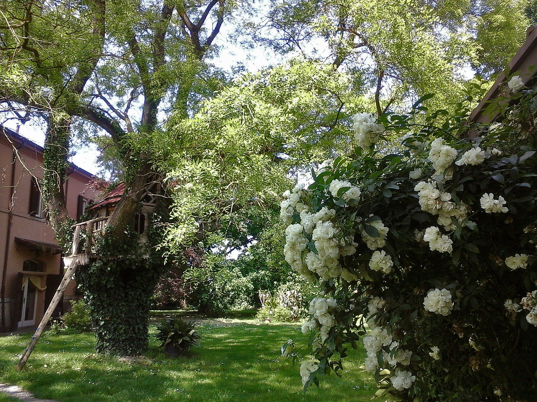 Cà Morari