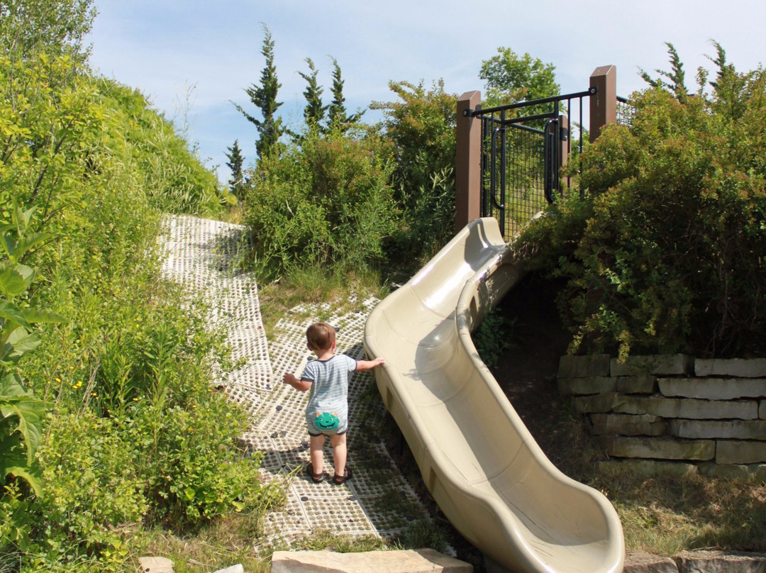 Fox River Park-沃基肖必去景点