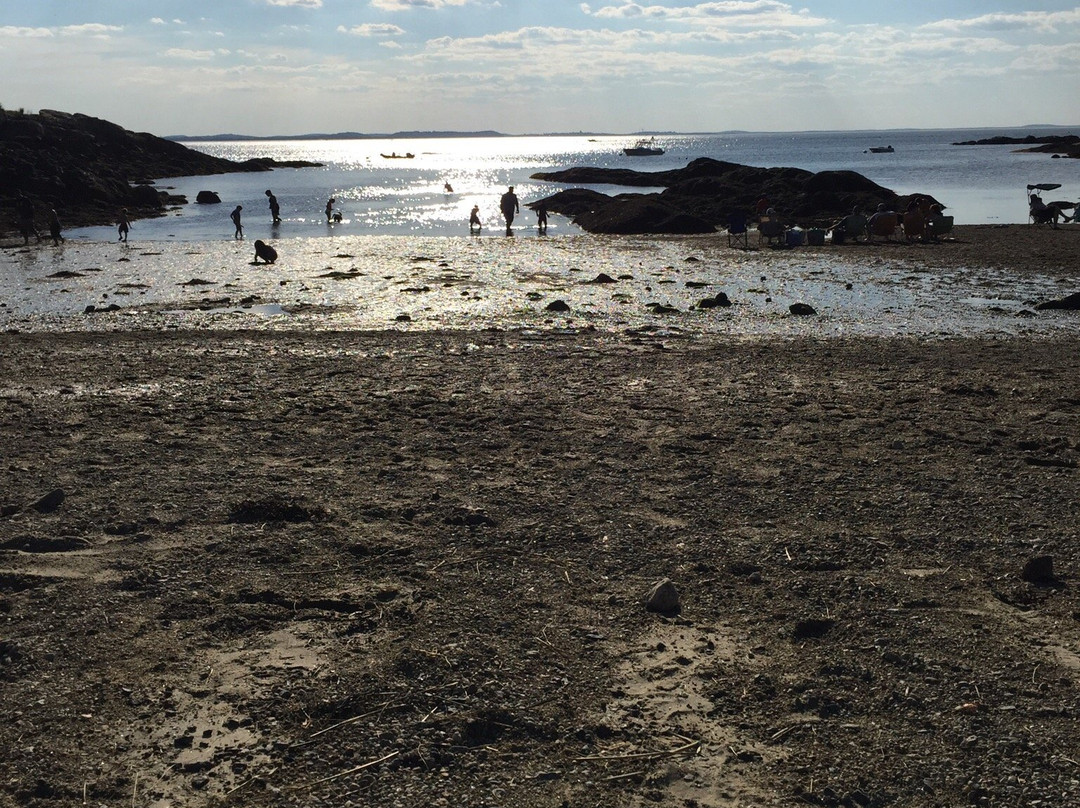 Plum Cove Beach景点图片