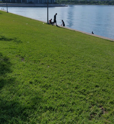 Lake Shore Place-芝加哥必去景点