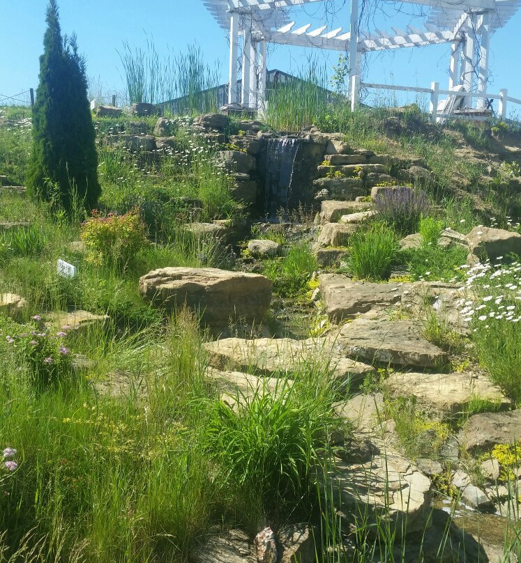 Cottage Winery and Vineyard景点图片