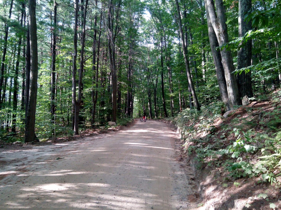 Shenipsit Lake Trail - Blue Blazed-埃林顿必去景点