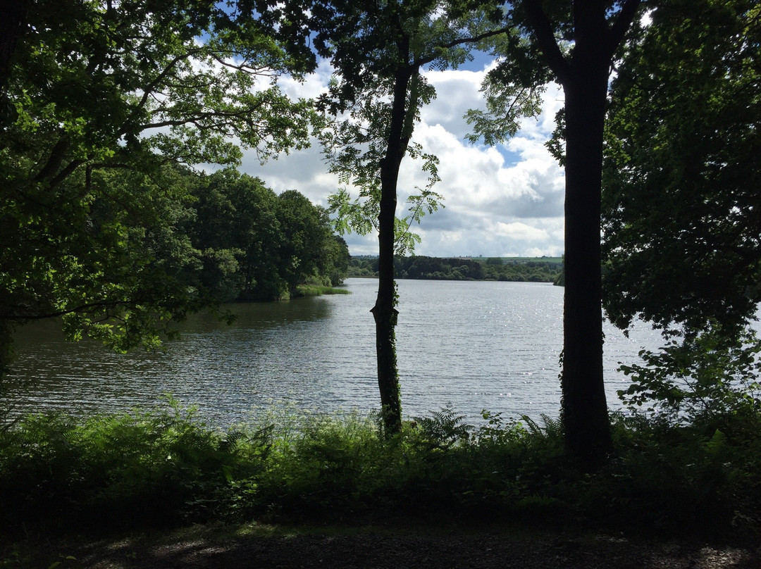 Chard Reservoir-Chard必去景点
