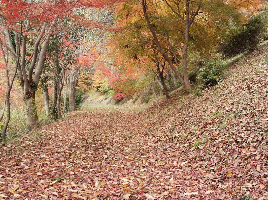 Yusuikyo-小国町必去景点