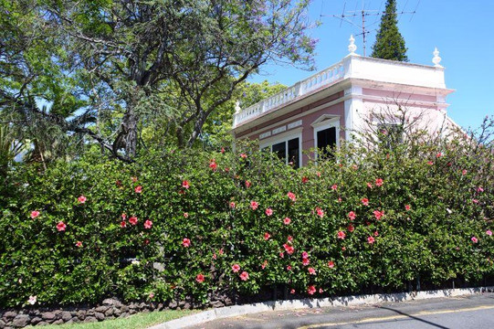 Quinta Vigia-沙尔必去景点