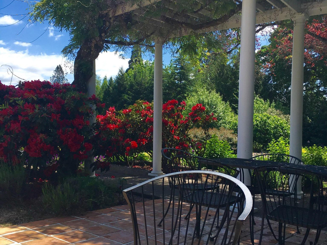 Duck Pond Cellars-Dundee必去景点