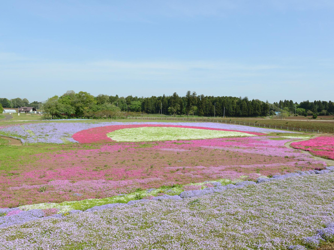 Chiba City Tomitacho Agricultural Exchange Center-千叶市必去景点