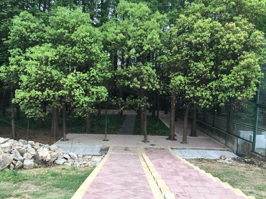 金牛湖-南京市必去景点