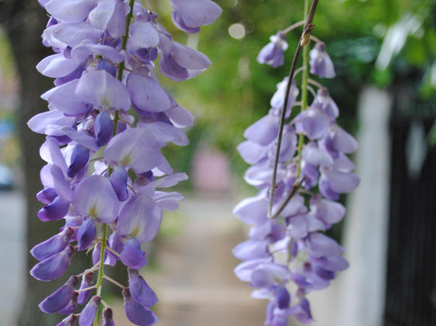 Guided Tour San Isidro-Acassuso必去景点