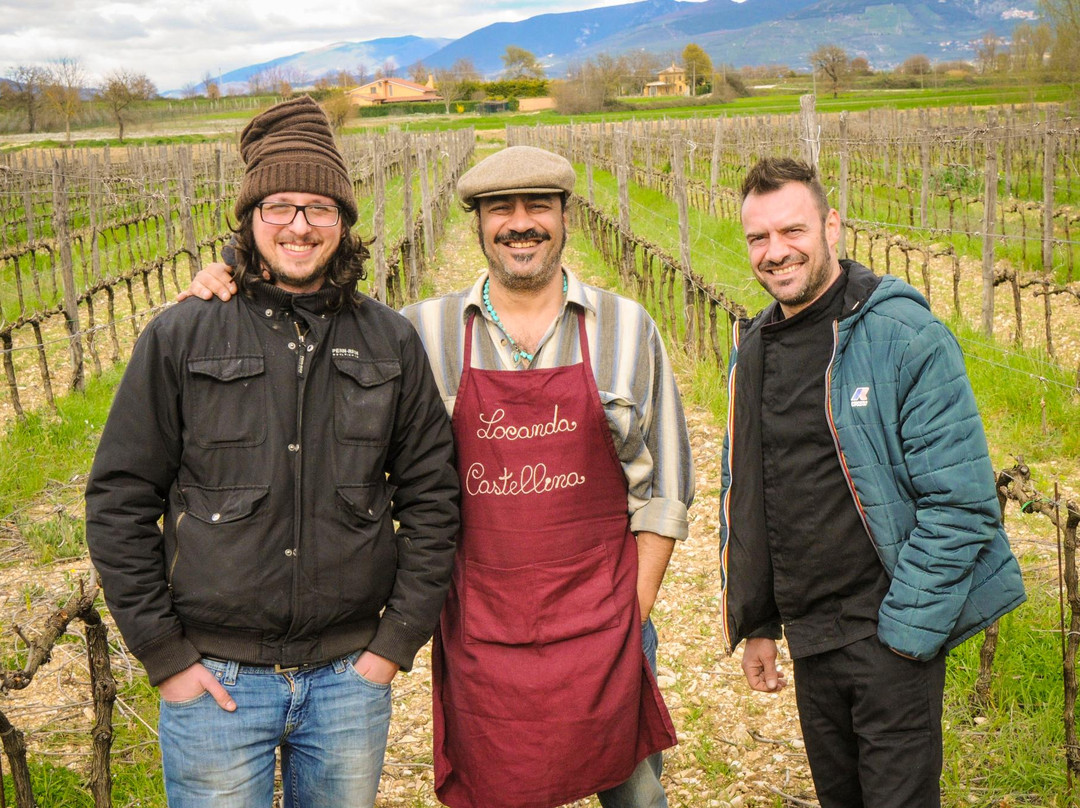 Raìna Winery and Vineyard-Montefalco必去景点