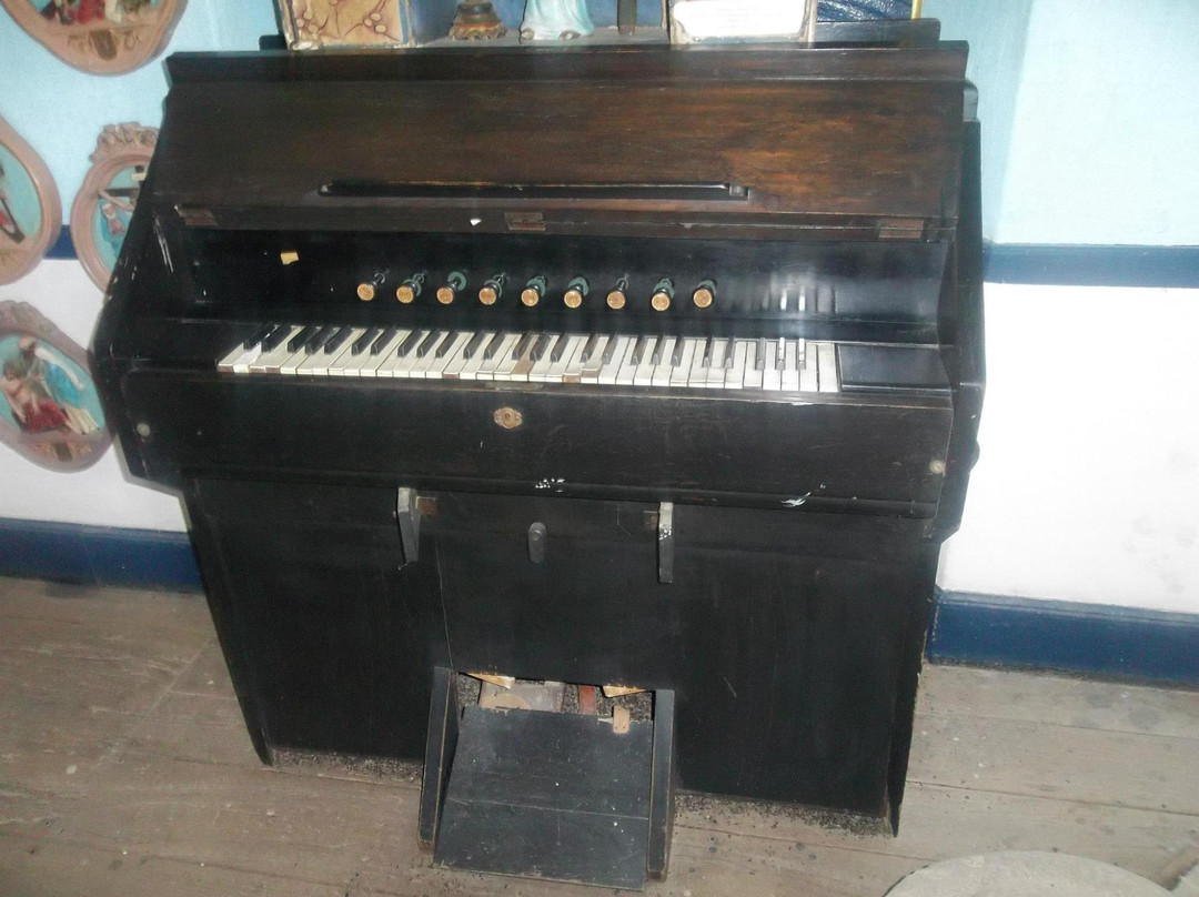 Junior Marcelino Museum-Martins必去景点