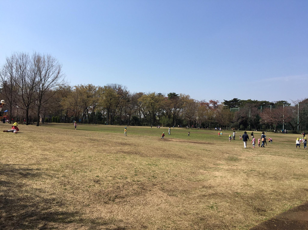 Kashinomiya Park-杉并区必去景点