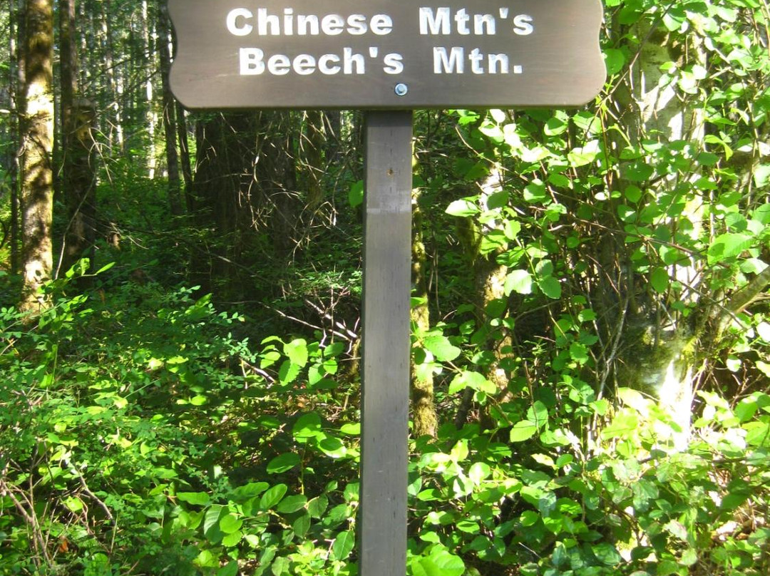 Chinese Mountains景点图片