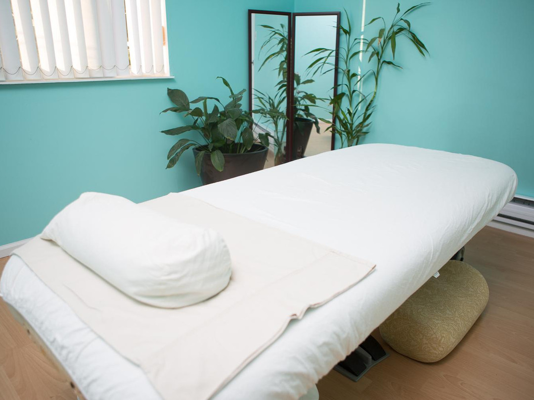 Francesca Shiatsu and CranioSacral Therapy-温哥华必去景点