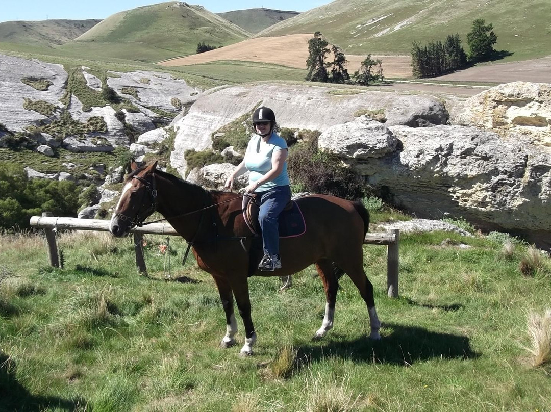 Weka Pass Horse Treks & Riding Centre景点图片