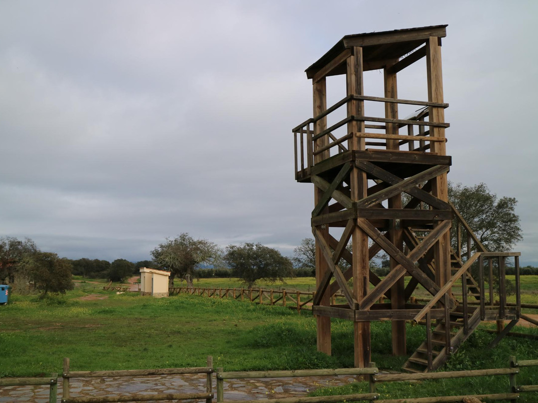 Parque Periurbano de Conservacion y Ocio Dehesa de Moheda Alta-Navalvillar de Pela必去景点