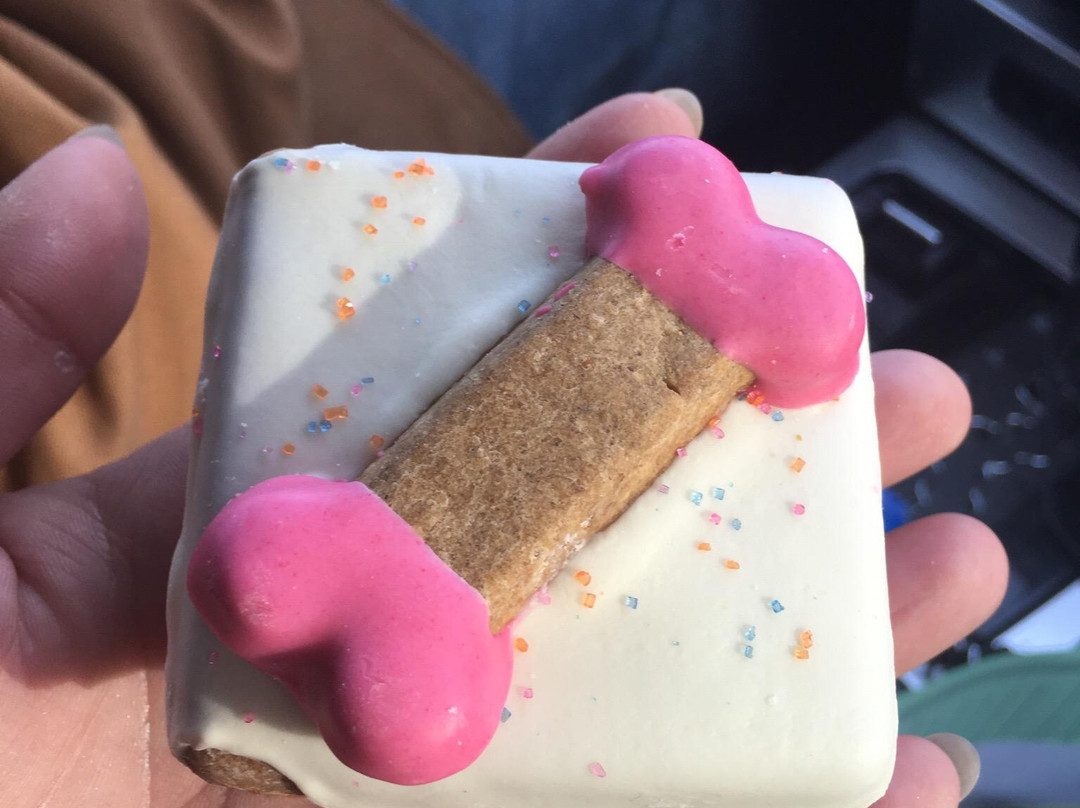 Decadent Dogs-南黑文必去景点