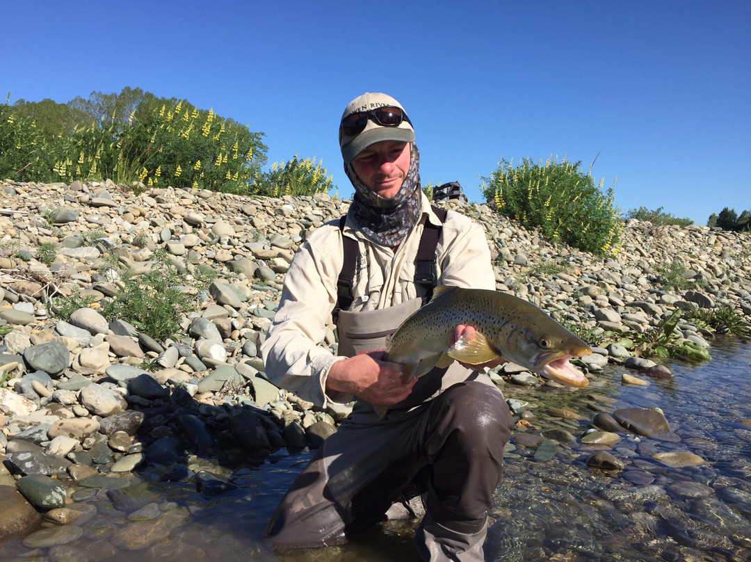 New Zealand Trout Adventures-Collingwood必去景点