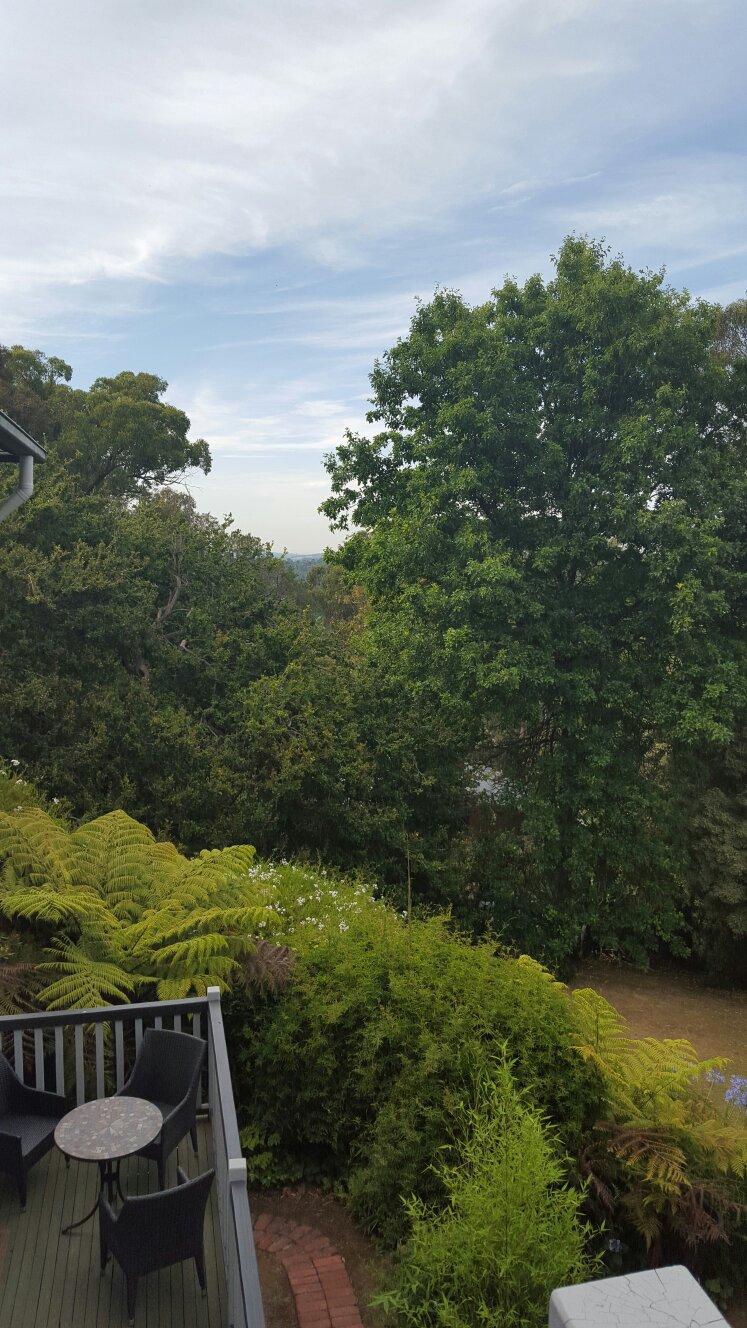 Devon Guest House-官方