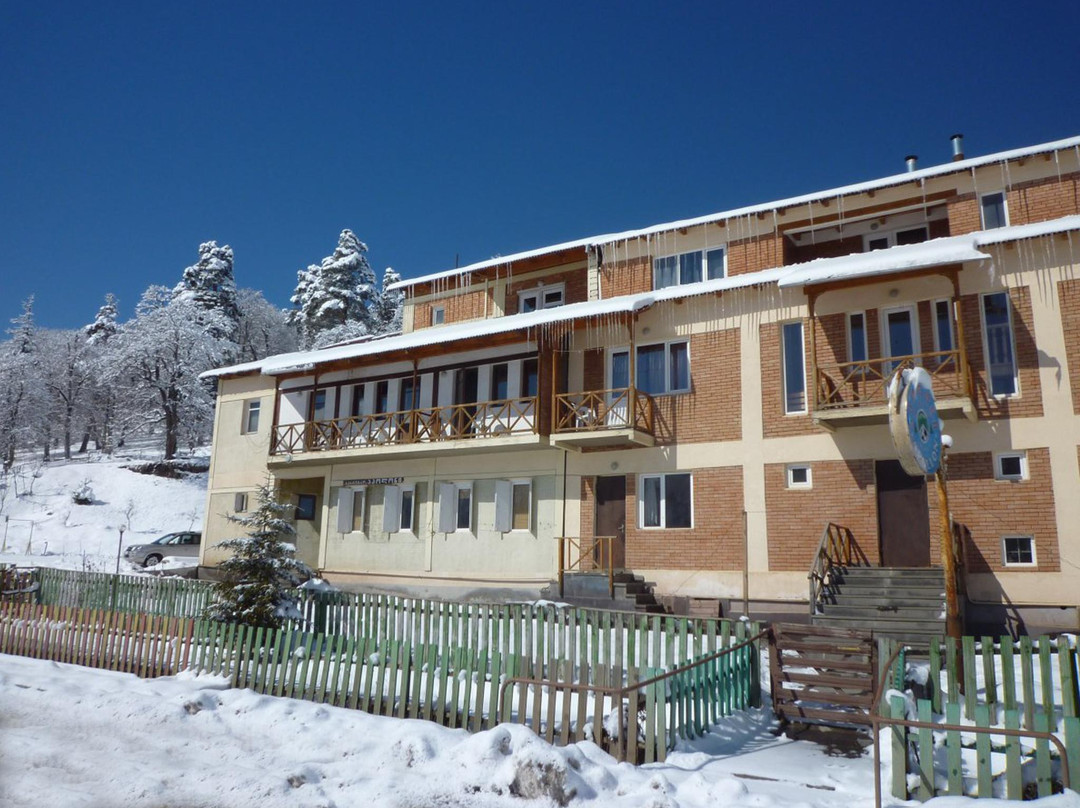 Bakurianis Andeziti酒店住宿-Hotel Apollon