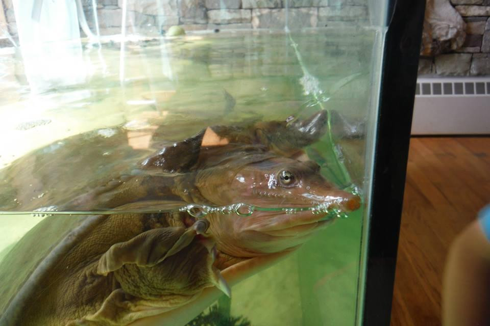 The Discovery Center-Swanton必去景点