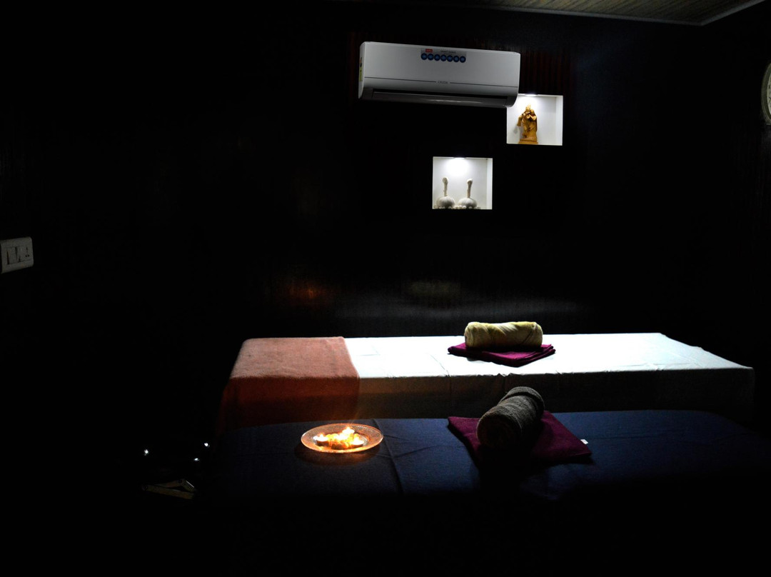 Swasthya Ayurveda景点图片