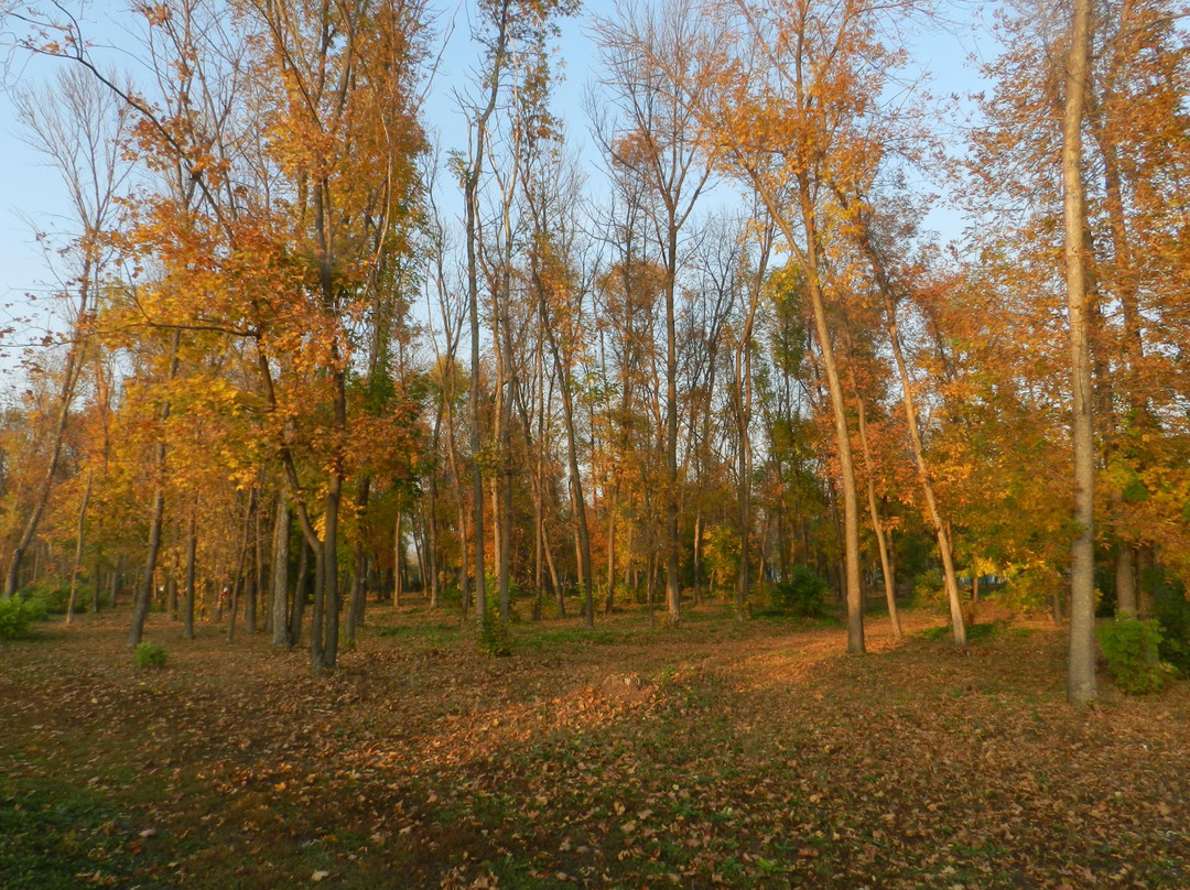 Central Park of Culture and Recreation-Salavat必去景点