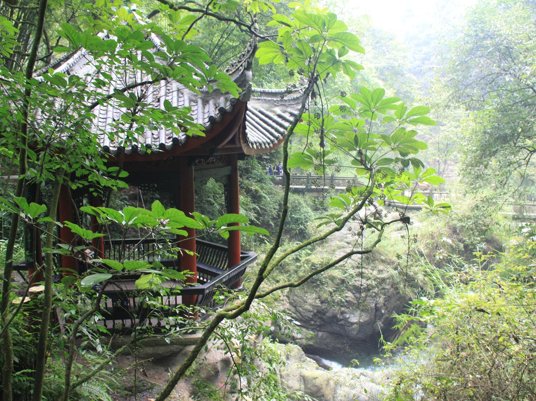 杜鹃花保护区-峨眉山市必去景点