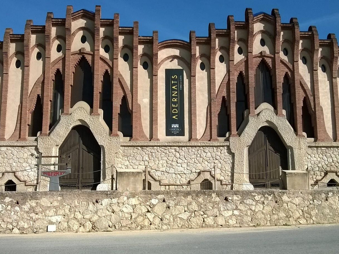 Celler del Sindicat Agrícola de Sant Isidre景点图片