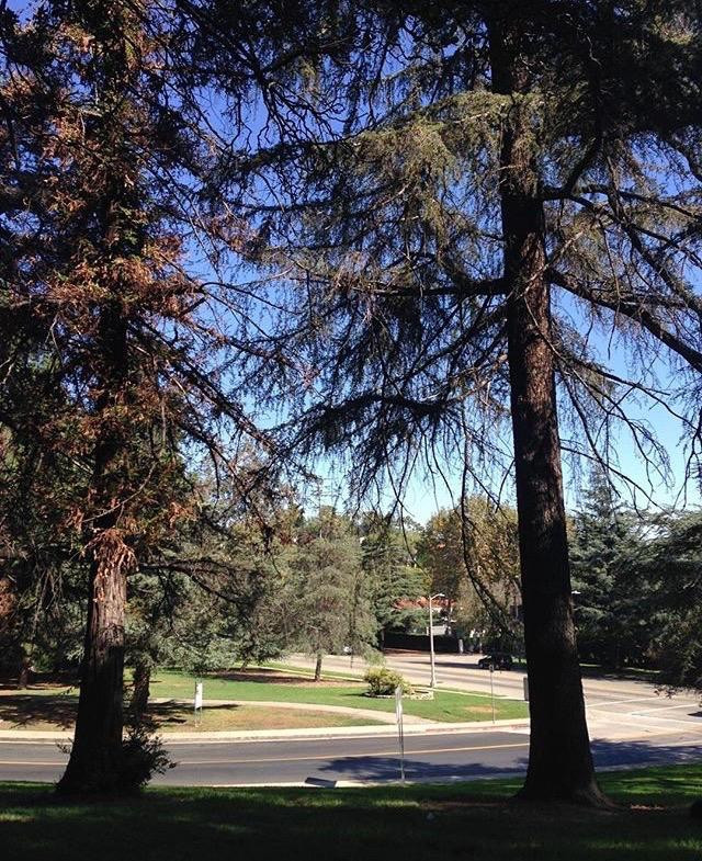 Griffin Park-Hardy必去景点