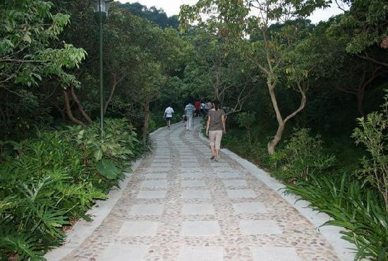 拱北桥-惠州市必去景点