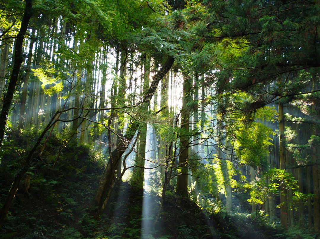 Mt. Raizan-二丈町必去景点