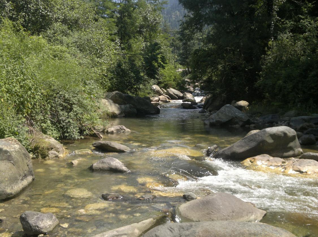 Jibhi Cafe & Cottages主图